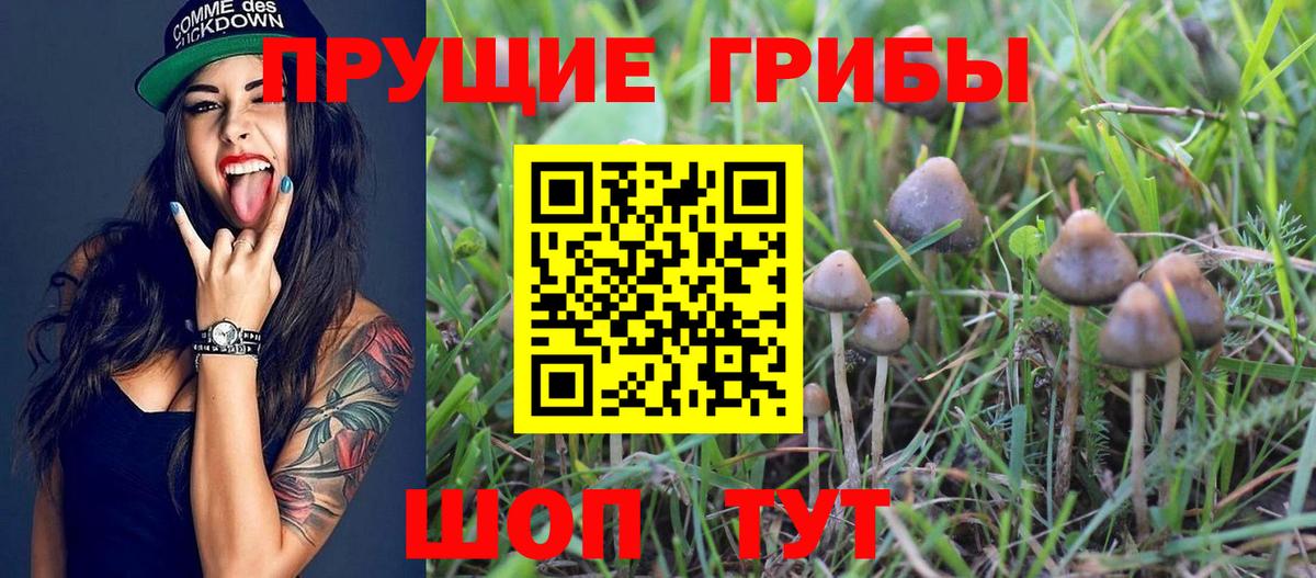 Псилоцибиновые грибы прущие грибы  Галлюциногенные грибы мухоморы  купить закладку  Владикавказ  Вход с VPN 